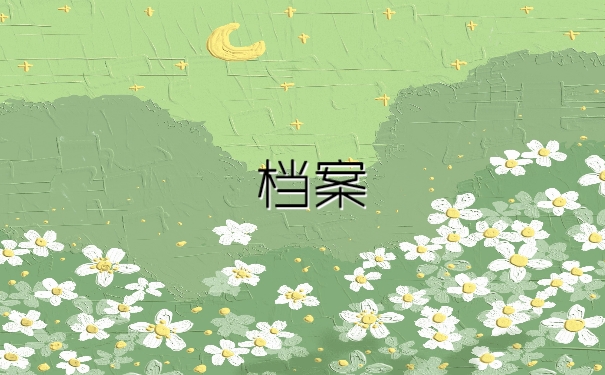 档案