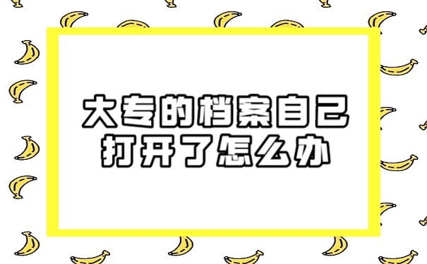 档案